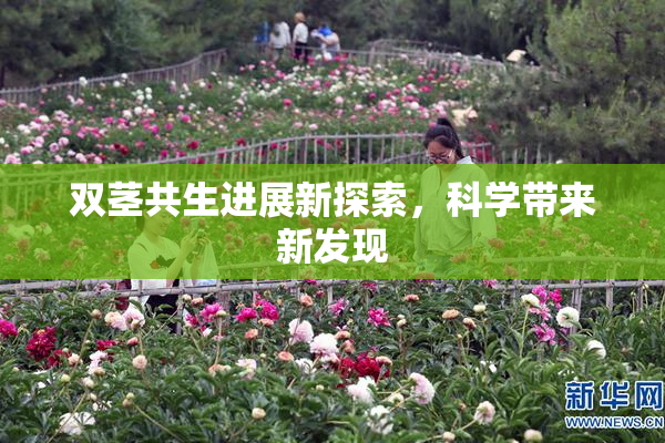 双茎共生进展新探索，科学带来新发现
