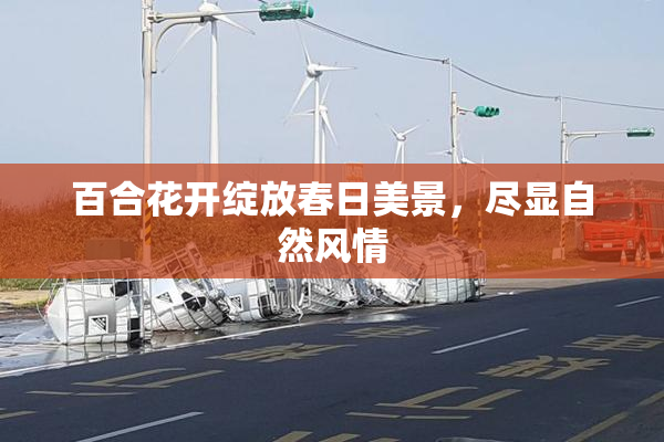 百合花开绽放春日美景，尽显自然风情