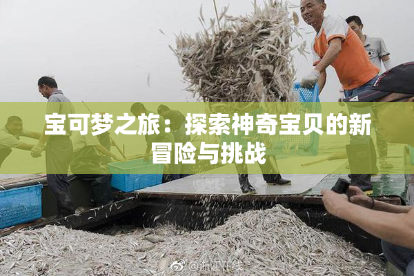 宝可梦之旅：探索神奇宝贝的新冒险与挑战