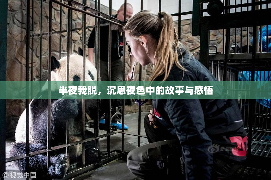 半夜我脱，沉思夜色中的故事与感悟