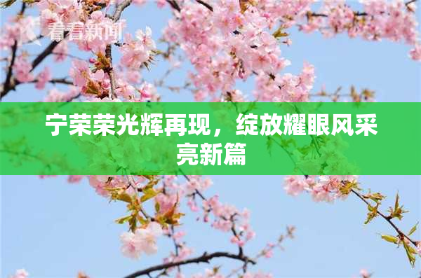 宁荣荣光辉再现，绽放耀眼风采亮新篇