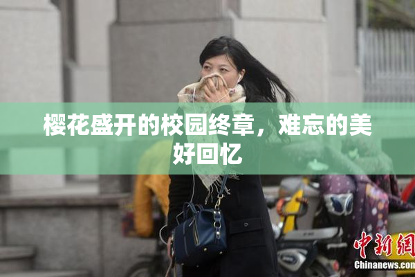 樱花盛开的校园终章，难忘的美好回忆