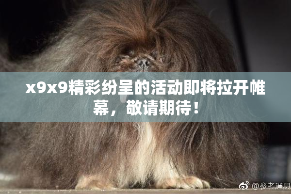 x9x9精彩纷呈的活动即将拉开帷幕，敬请期待！