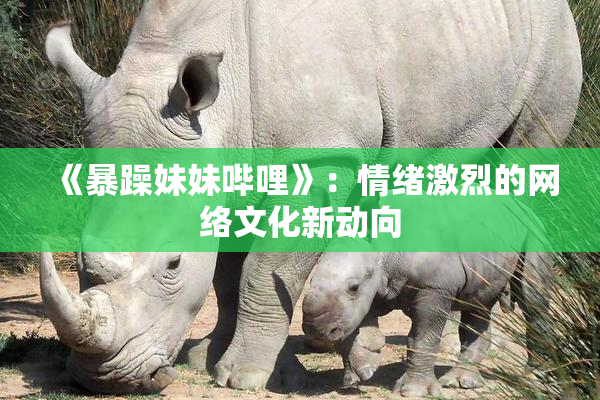 《暴躁妹妹哔哩》：情绪激烈的网络文化新动向
