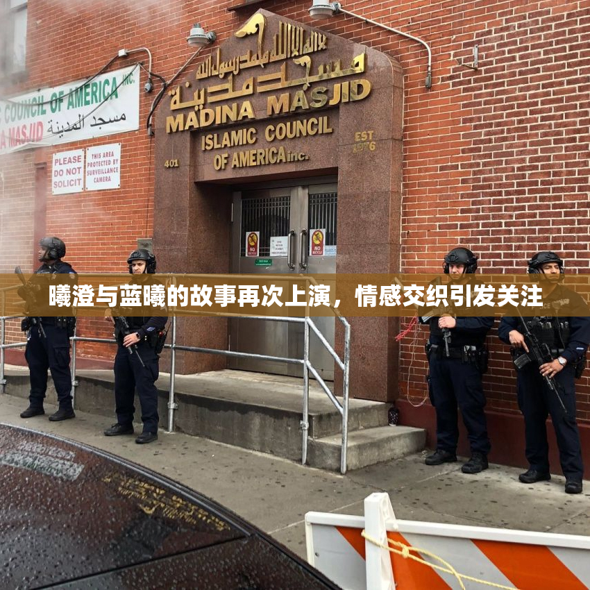 曦澄与蓝曦的故事再次上演，情感交织引发关注