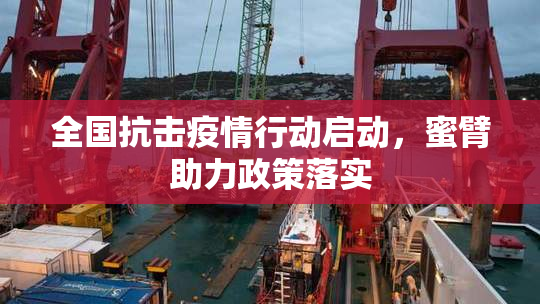 全国抗击疫情行动启动，蜜臂助力政策落实