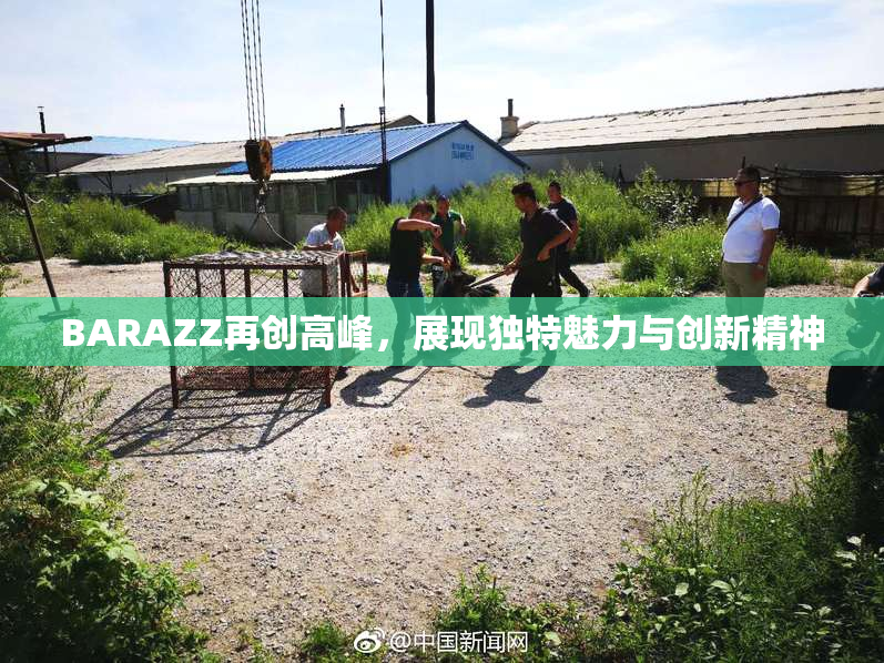 BARAZZ再创高峰，展现独特魅力与创新精神
