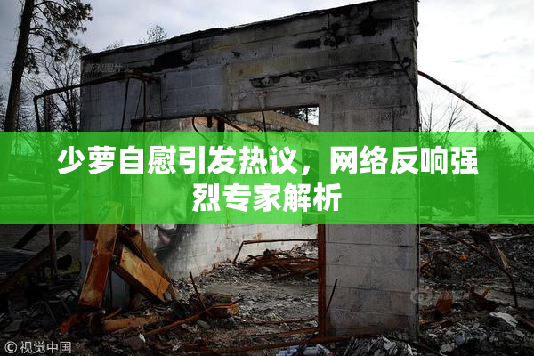 少萝自慰引发热议，网络反响强烈专家解析