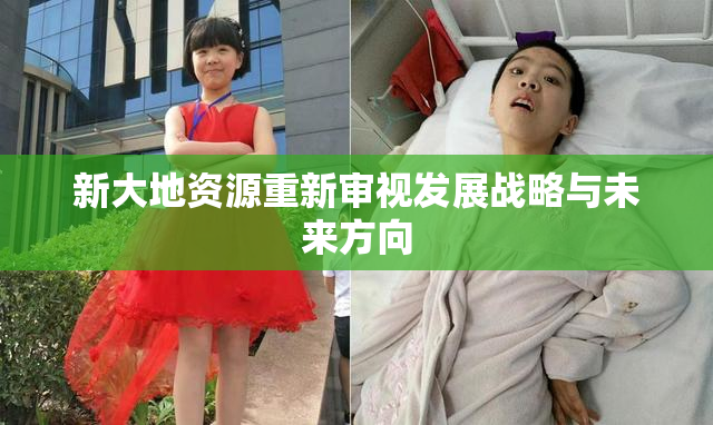 新大地资源重新审视发展战略与未来方向