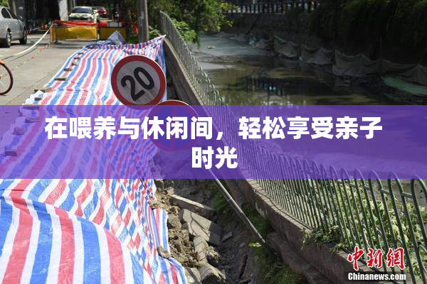 在喂养与休闲间，轻松享受亲子时光