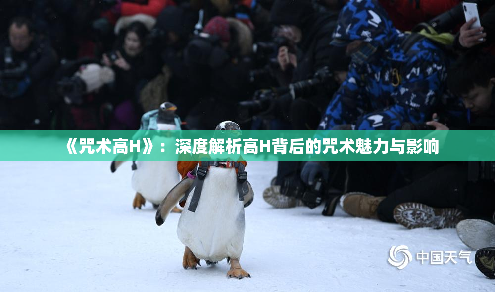 《咒术高H》：深度解析高H背后的咒术魅力与影响