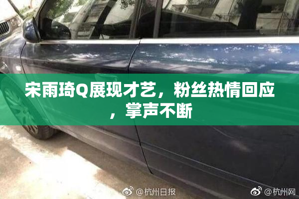 宋雨琦Q展现才艺，粉丝热情回应，掌声不断