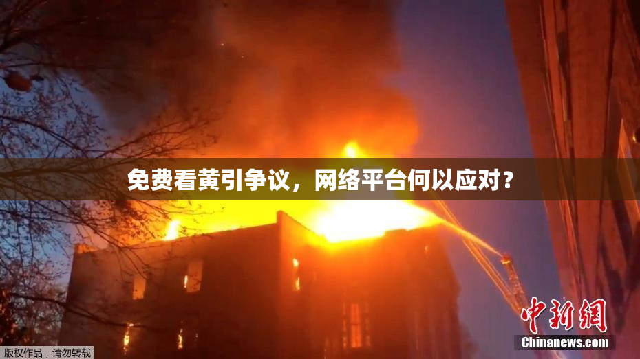 免费看黄引争议，网络平台何以应对？