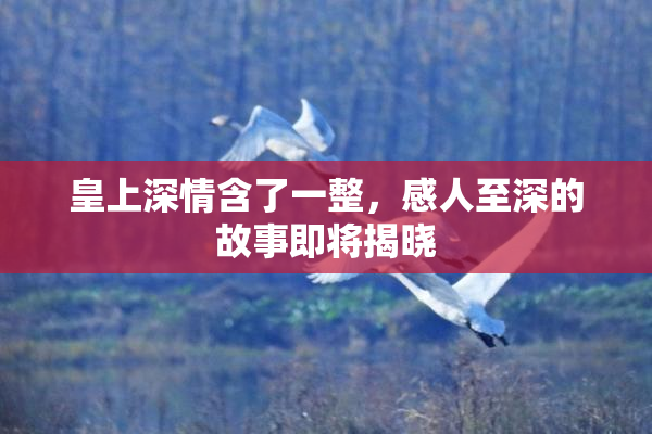 皇上深情含了一整，感人至深的故事即将揭晓