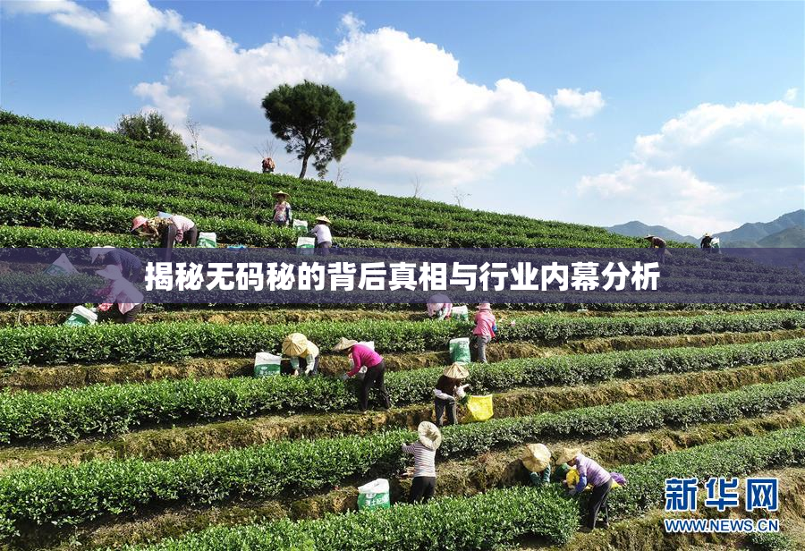 揭秘无码秘的背后真相与行业内幕分析