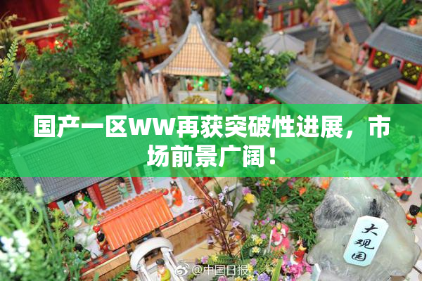 国产一区WW再获突破性进展，市场前景广阔！
