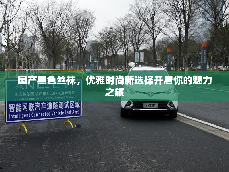 国产黑色丝袜，优雅时尚新选择开启你的魅力之旅