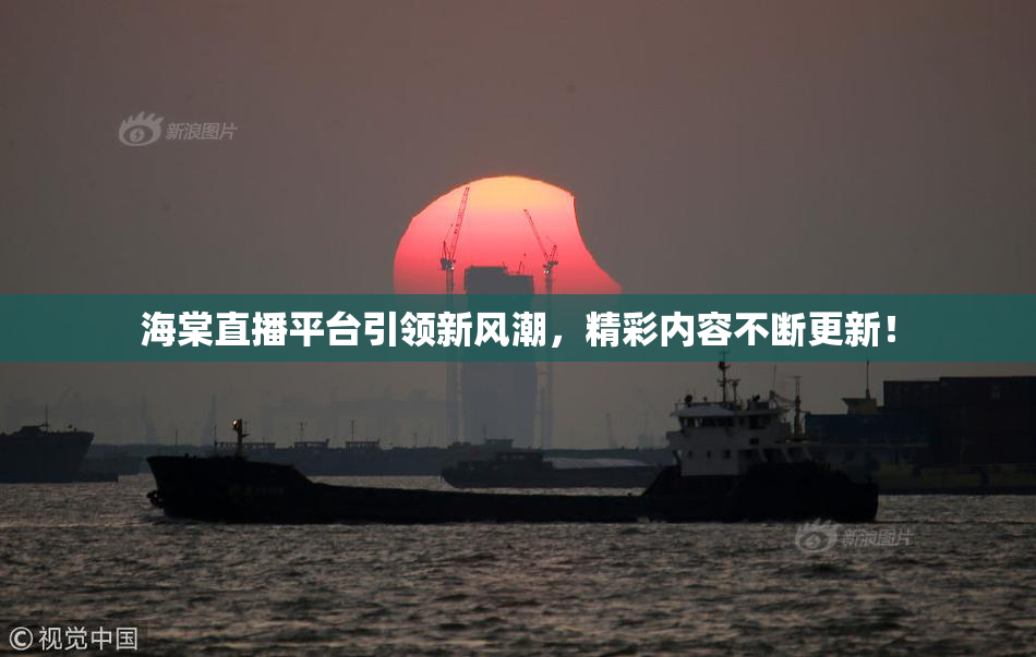 海棠直播平台引领新风潮，精彩内容不断更新！