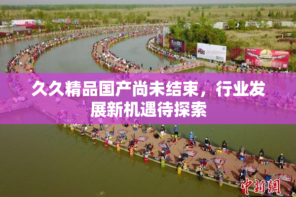 久久精品国产尚未结束，行业发展新机遇待探索
