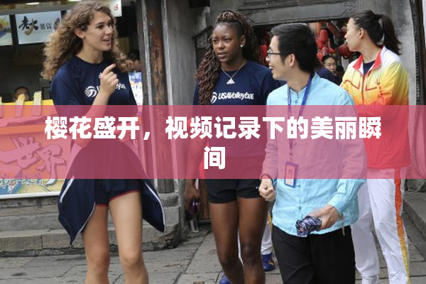 樱花盛开，视频记录下的美丽瞬间