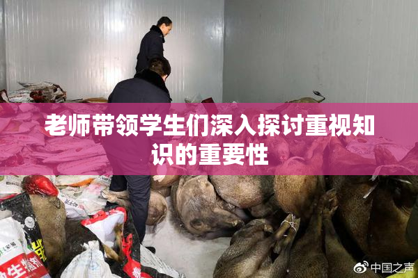 老师带领学生们深入探讨重视知识的重要性
