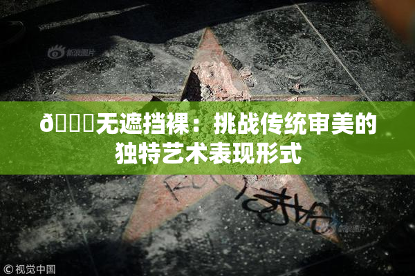 🔞无遮挡裸：挑战传统审美的独特艺术表现形式