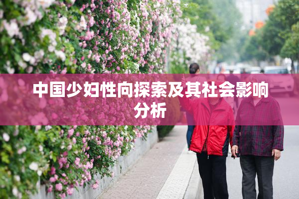 中国少妇性向探索及其社会影响分析