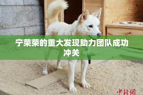 宁荣荣的重大发现助力团队成功冲关