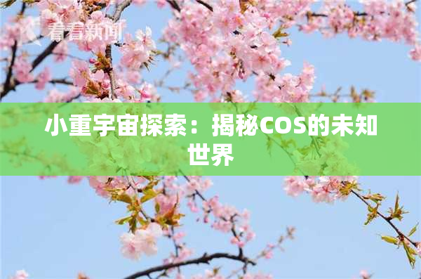 小重宇宙探索：揭秘COS的未知世界