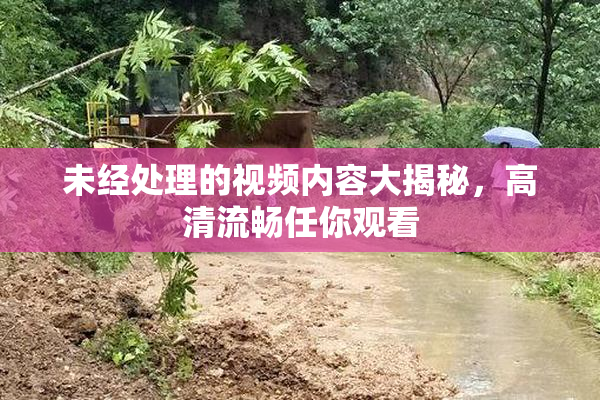 未经处理的视频内容大揭秘，高清流畅任你观看