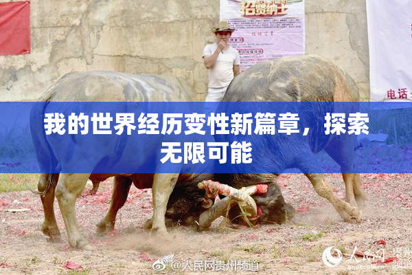 我的世界经历变性新篇章，探索无限可能