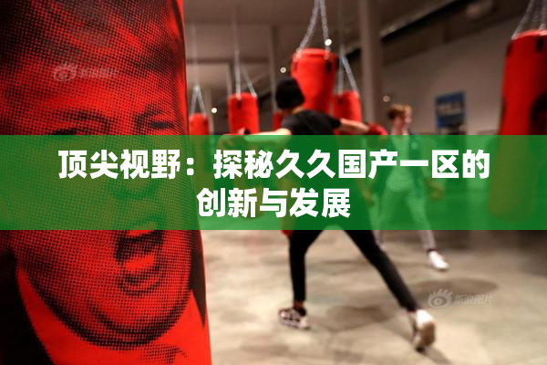 顶尖视野：探秘久久国产一区的创新与发展