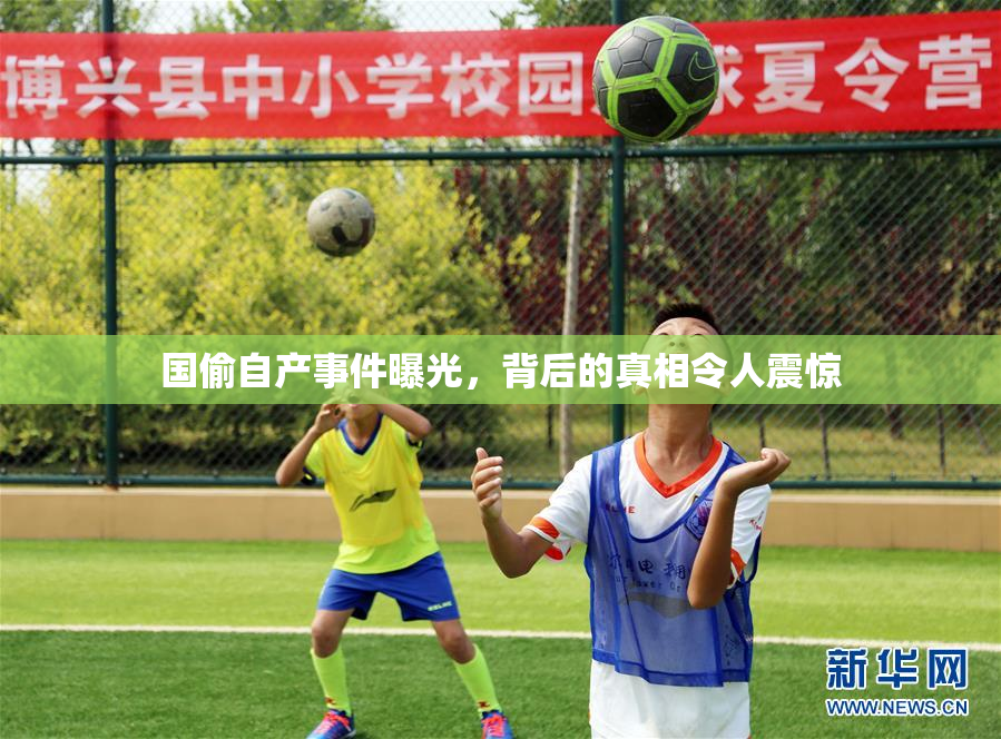 国偷自产事件曝光，背后的真相令人震惊