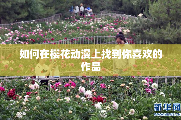 如何在樱花动漫上找到你喜欢的作品