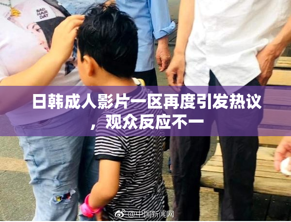 日韩成人影片一区再度引发热议，观众反应不一