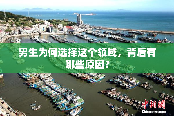 男生为何选择这个领域，背后有哪些原因？