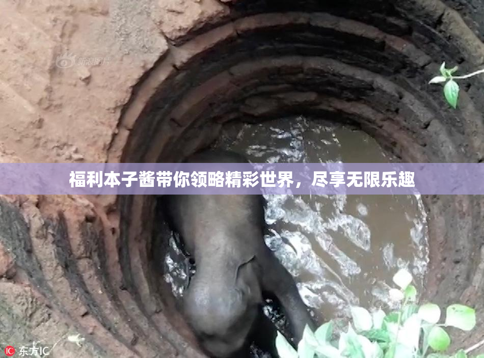 福利本子酱带你领略精彩世界，尽享无限乐趣