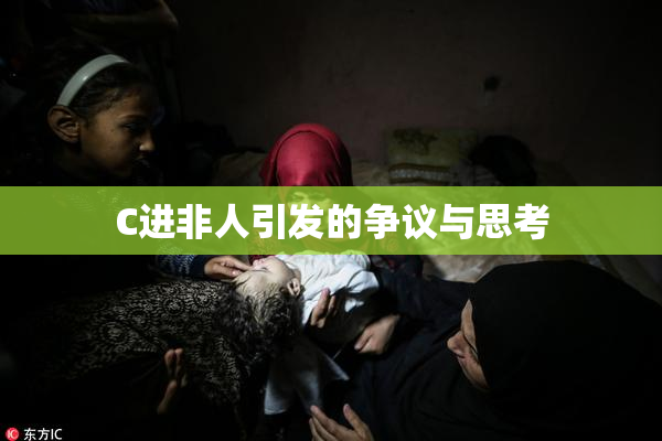 C进非人引发的争议与思考