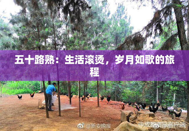 五十路熟：生活滚烫，岁月如歌的旅程