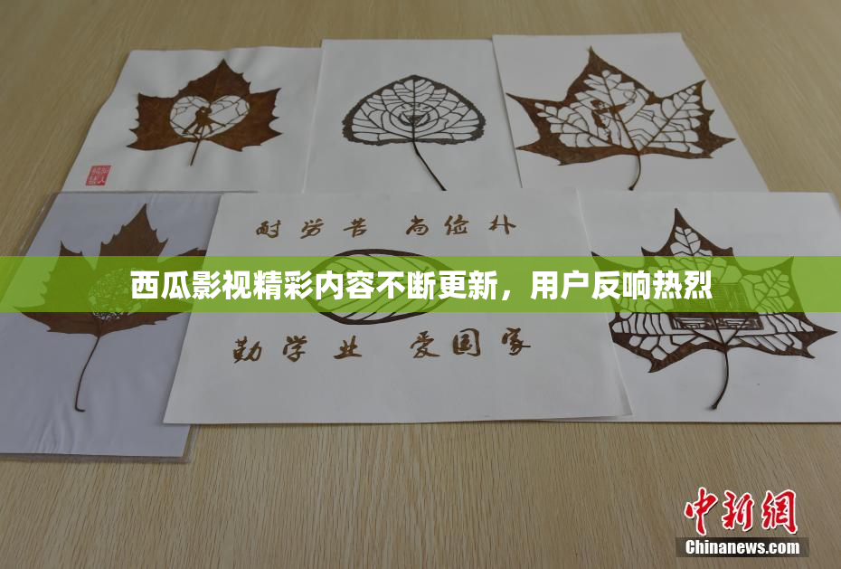 西瓜影视精彩内容不断更新，用户反响热烈