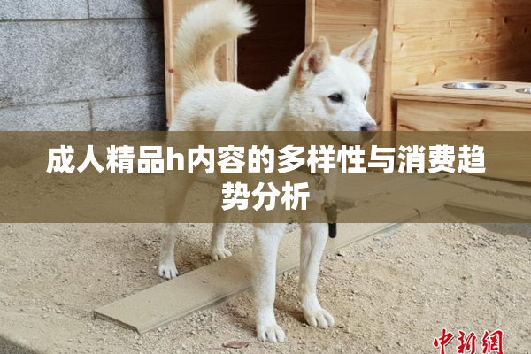 成人精品h内容的多样性与消费趋势分析