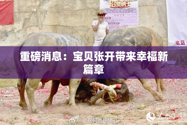 重磅消息：宝贝张开带来幸福新篇章