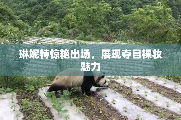 琳妮特惊艳出场，展现夺目裸妆魅力