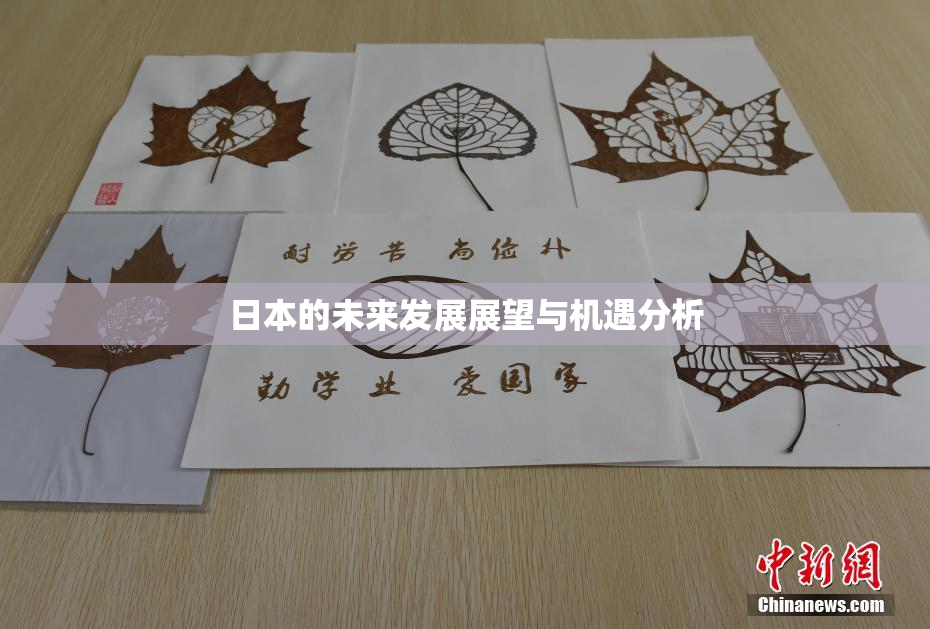 日本的未来发展展望与机遇分析