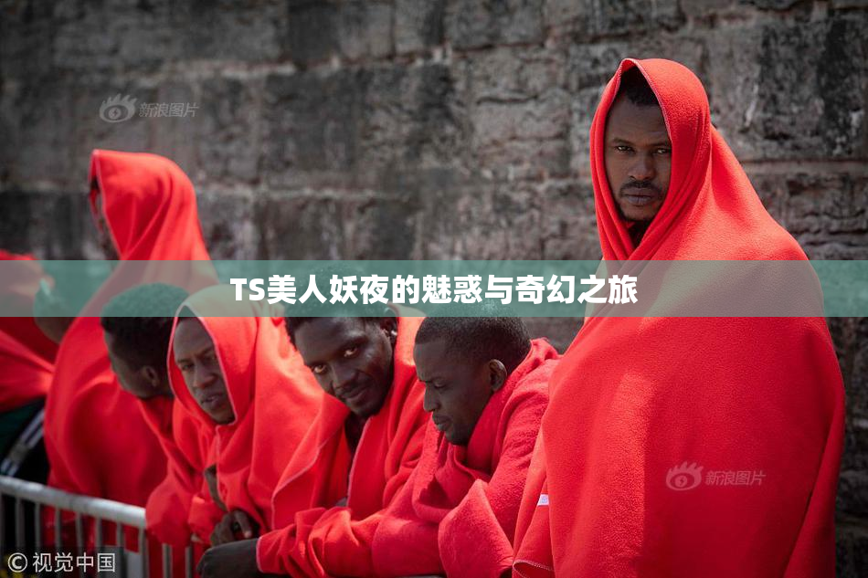 TS美人妖夜的魅惑与奇幻之旅