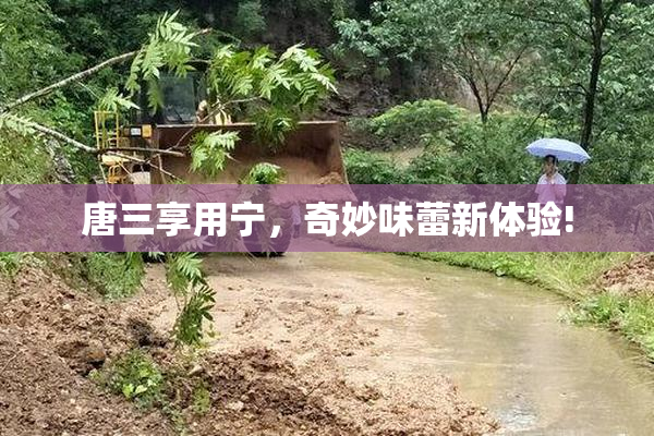唐三享用宁，奇妙味蕾新体验!