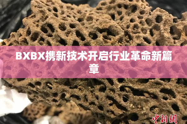 BXBX携新技术开启行业革命新篇章
