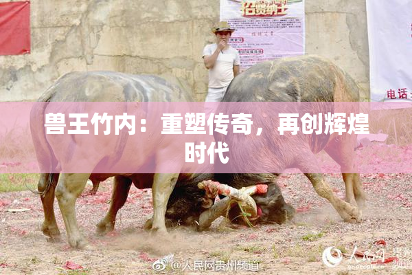兽王竹内：重塑传奇，再创辉煌时代