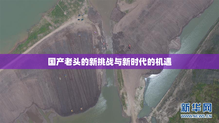 国产老头的新挑战与新时代的机遇
