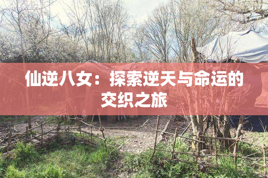 仙逆八女：探索逆天与命运的交织之旅